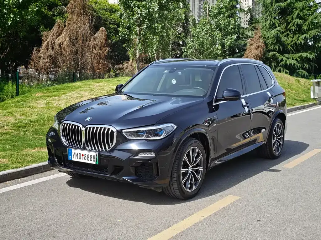 BMW X5 New Energy (Import) — фото 1