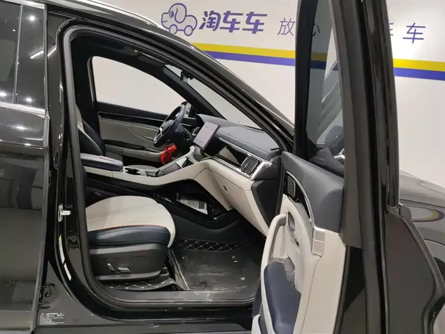 BYD PLUS New Energy — фото 3