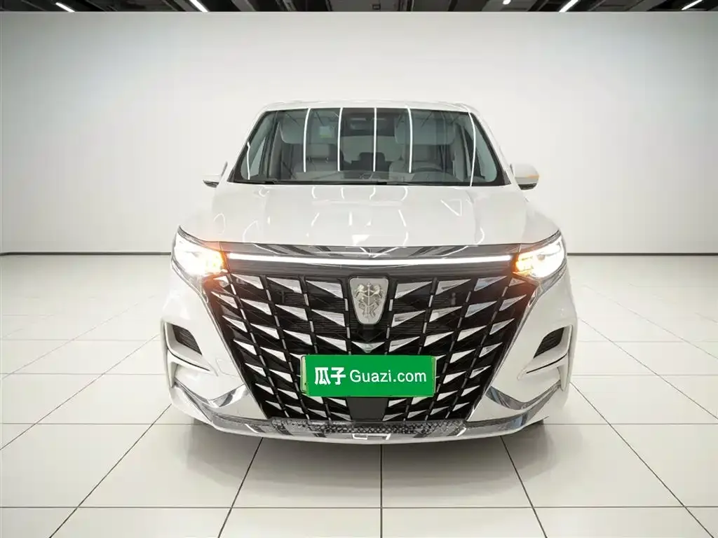 Roewe iMAX8 New Energy — фото 10