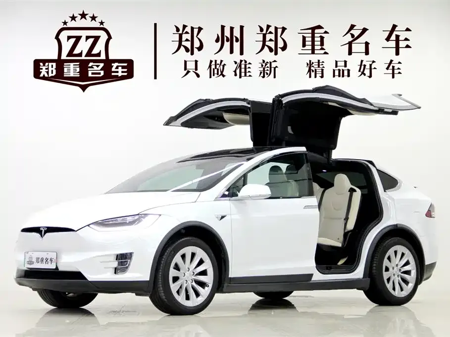 Tesla Model X — фото 9