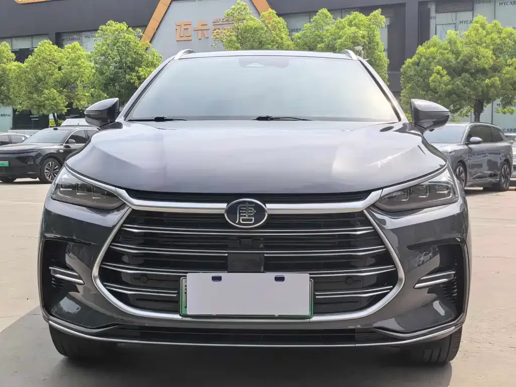 BYD Tang New Energy — фото 2