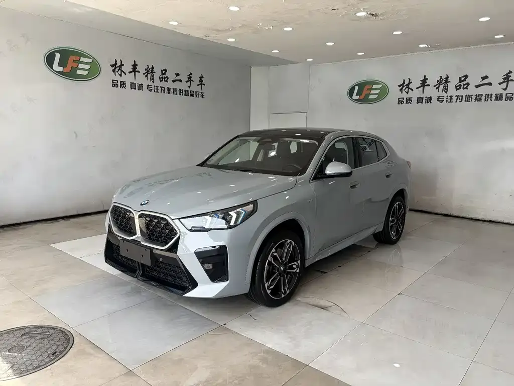 BMW X2 (Import) — фото 1