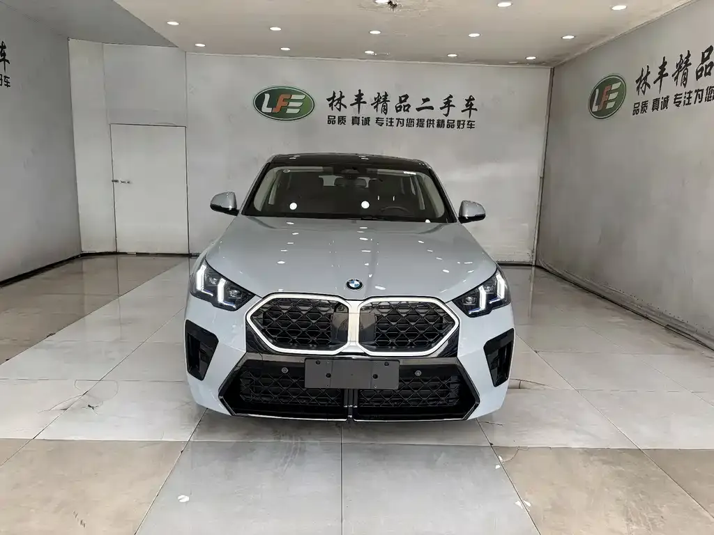 BMW X2 (Import) — фото 6