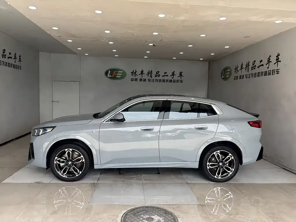 BMW X2 (Import) — фото 10
