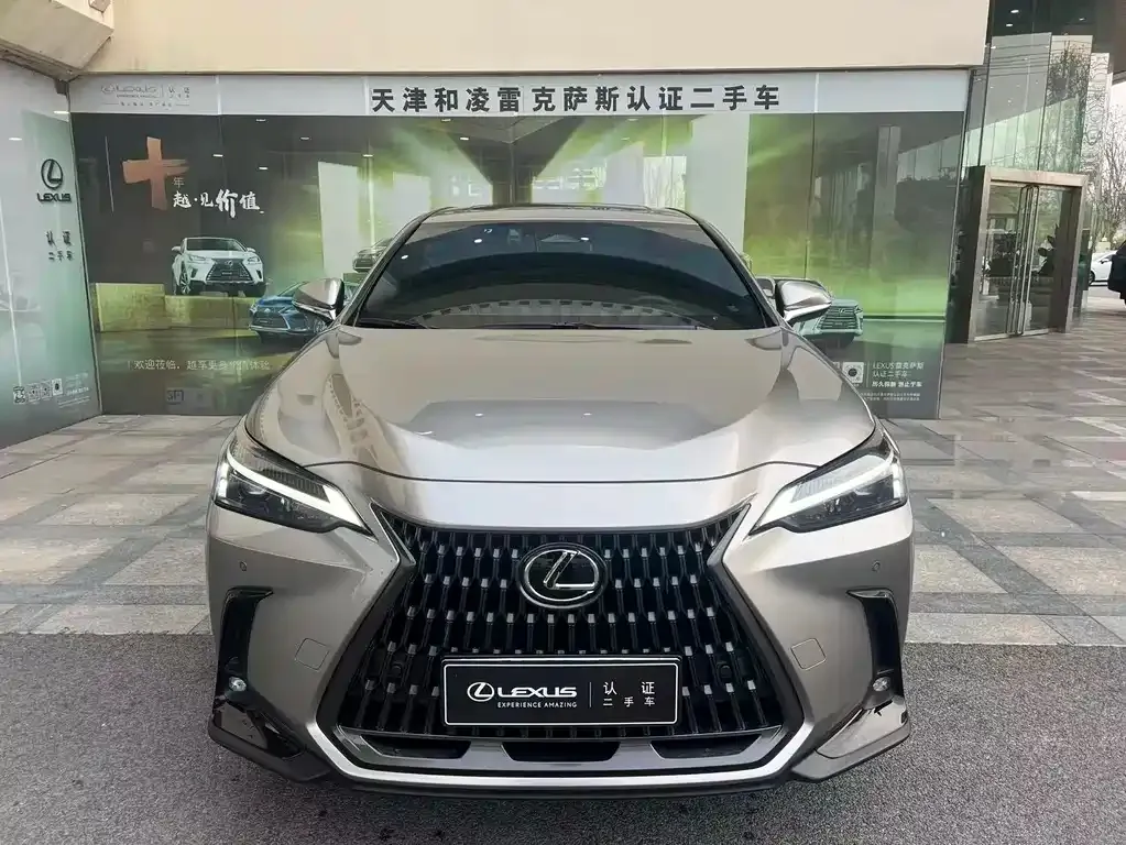 Lexus NX New Energy — фото 3