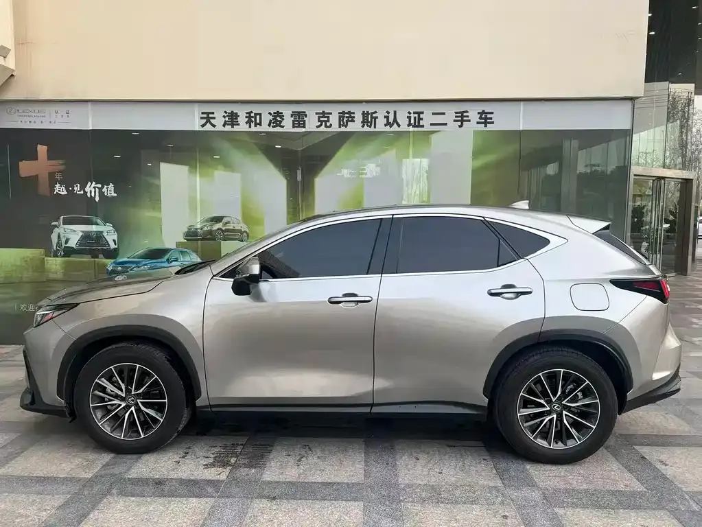 Lexus NX New Energy — фото 8