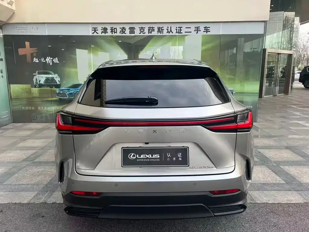 Lexus NX New Energy — фото 5