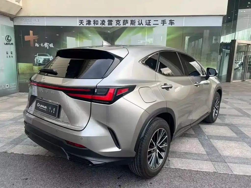 Lexus NX New Energy — фото 9