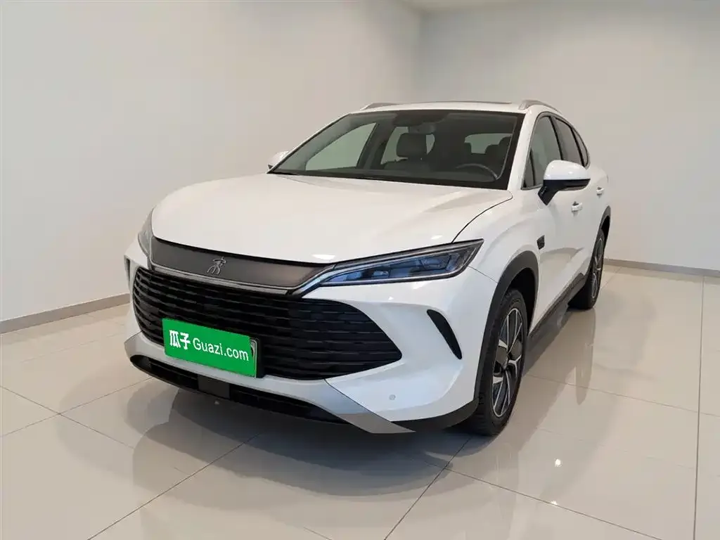 BYD L DM-i — фото 1
