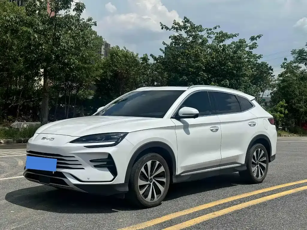 BYD PLUS New Energy — фото 1