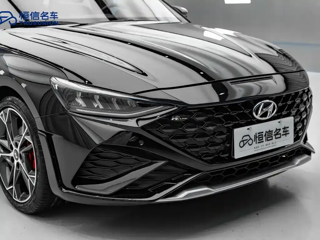 Hyundai Fista — фото 8