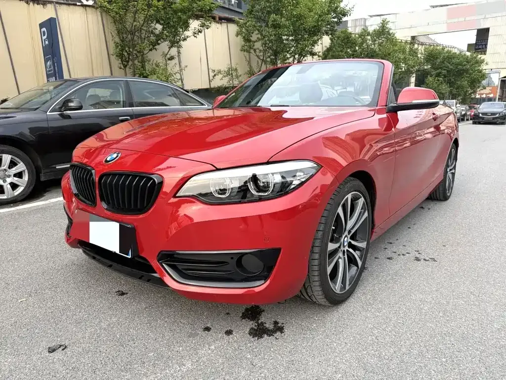 BMW 2 Series (Import) — фото 1