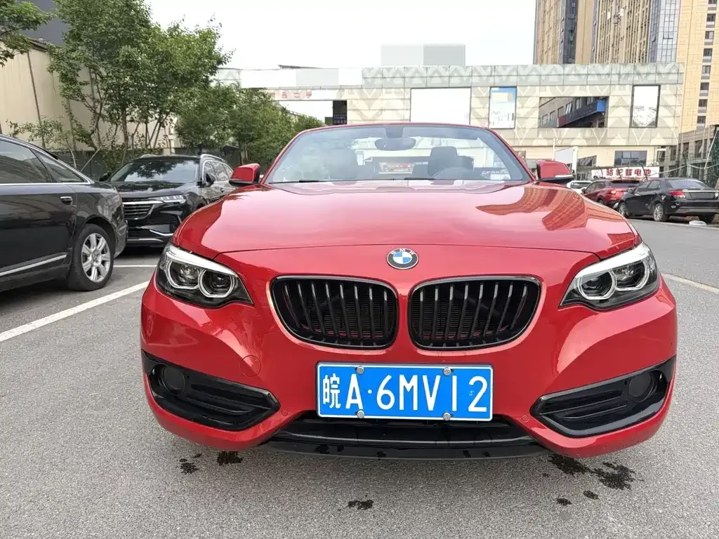 BMW 2 Series (Import) — фото 4