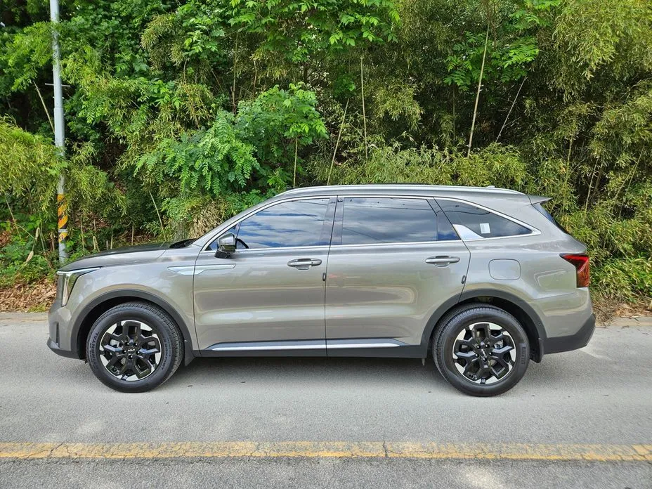 Kia Sorento — фото 6