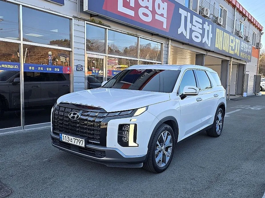 Hyundai Palisade — фото 1