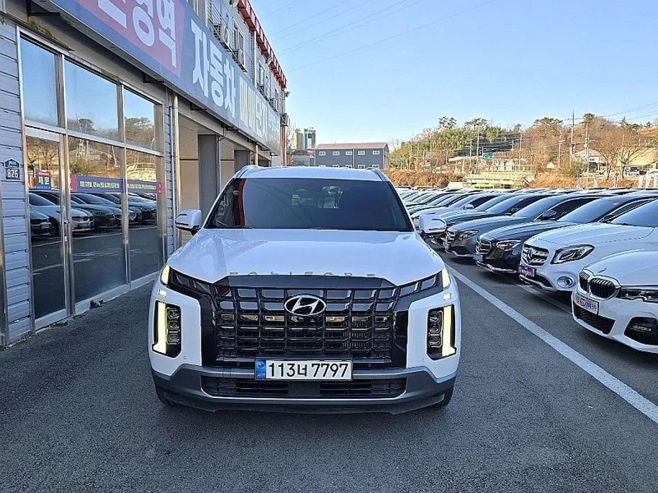 Hyundai Palisade — фото 9