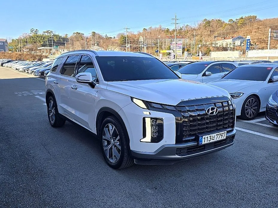 Hyundai Palisade — фото 7