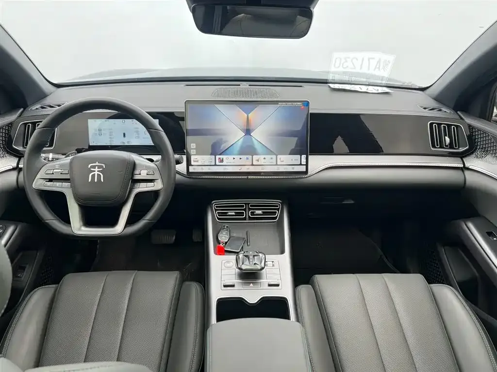 BYD Pro New Energy — фото 7