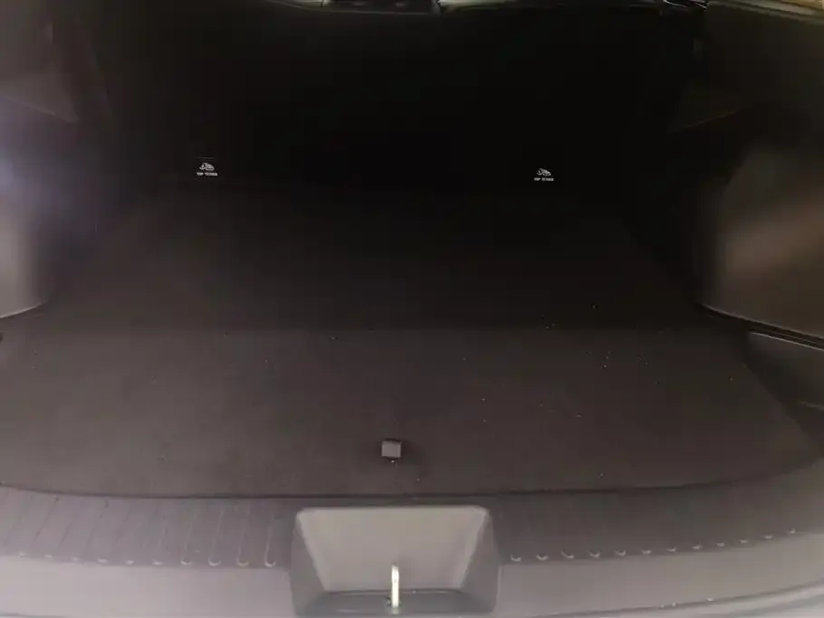 Haval Xiaolong MAX — фото 8