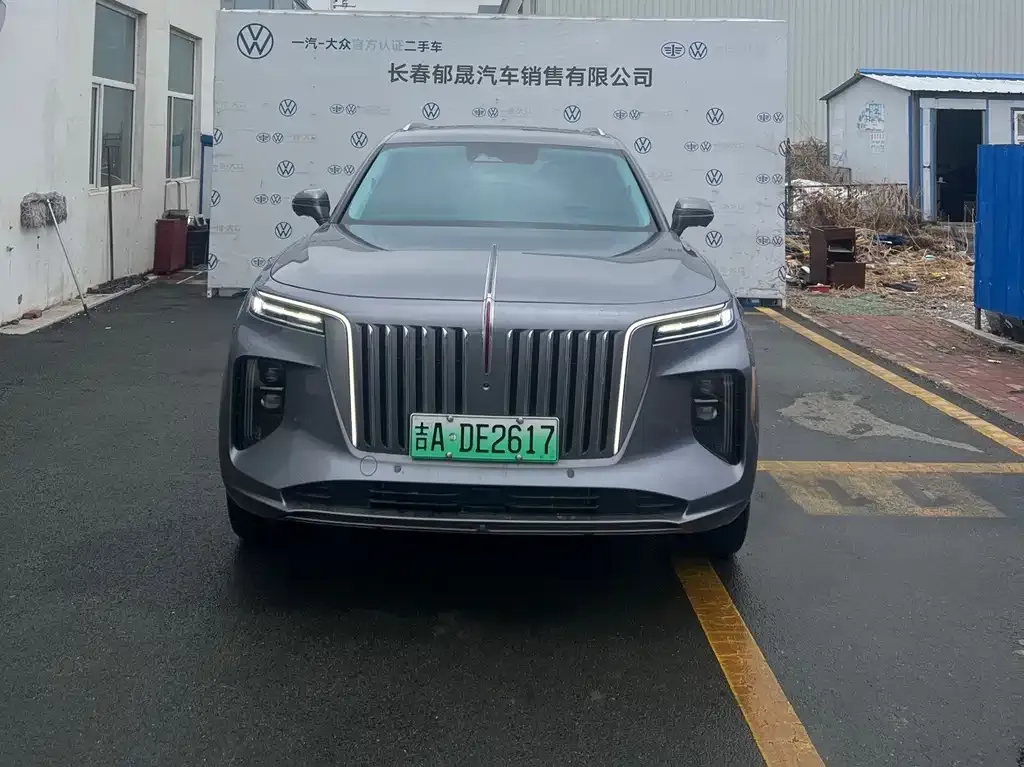 Hongqi E-HS9 — фото 2