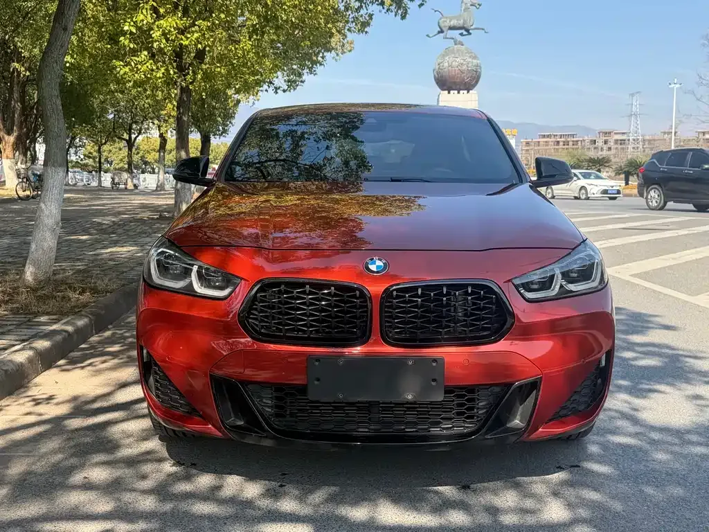 BMW X2 — фото 8