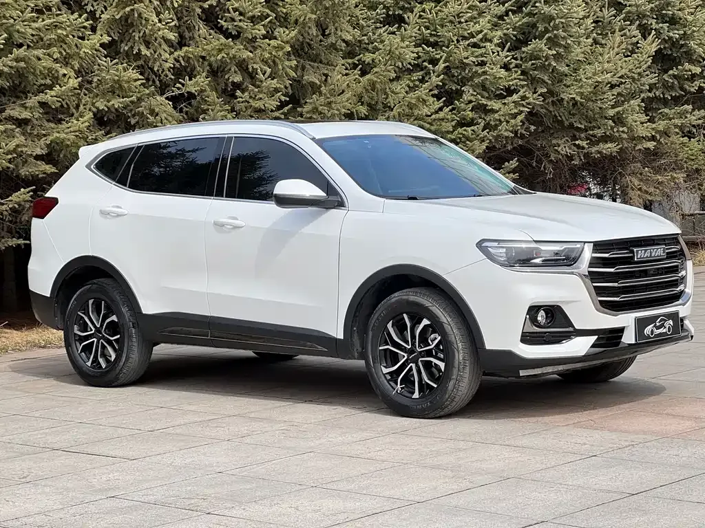 Haval H6 — фото 3