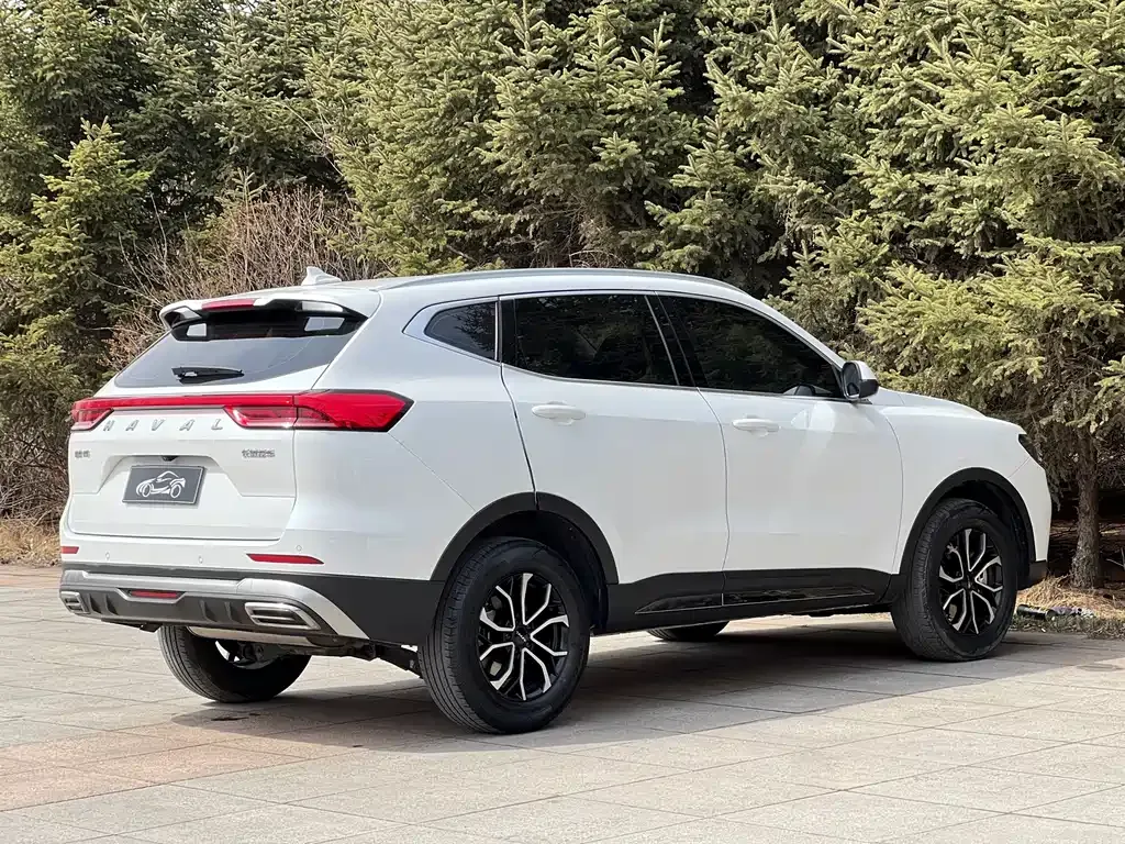 Haval H6 — фото 5
