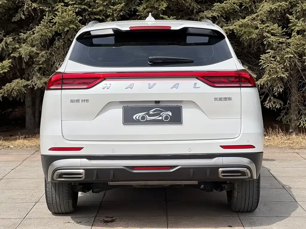 Haval H6 — фото 9
