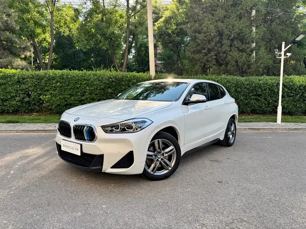 BMW X2 — фото 1