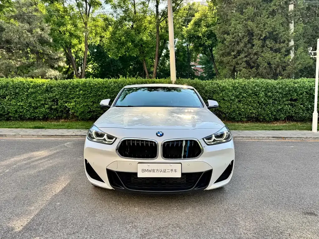 BMW X2 — фото 10