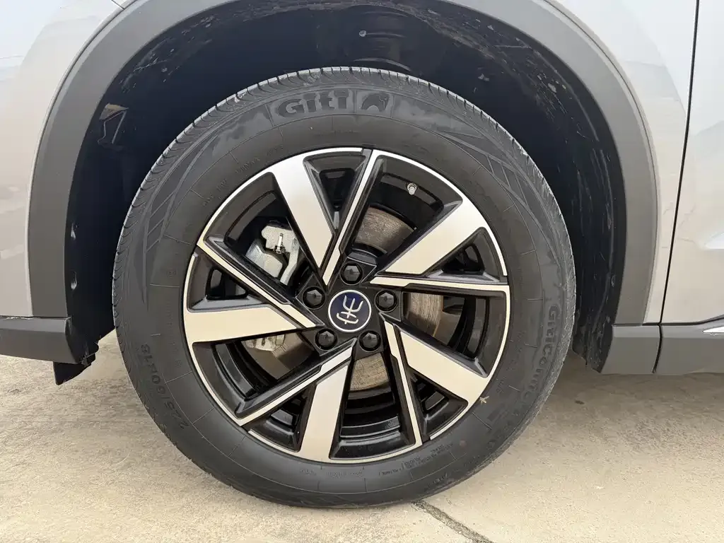 BYD Pro New Energy — фото 7
