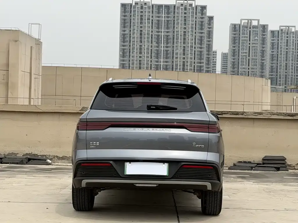 BYD Pro New Energy — фото 5