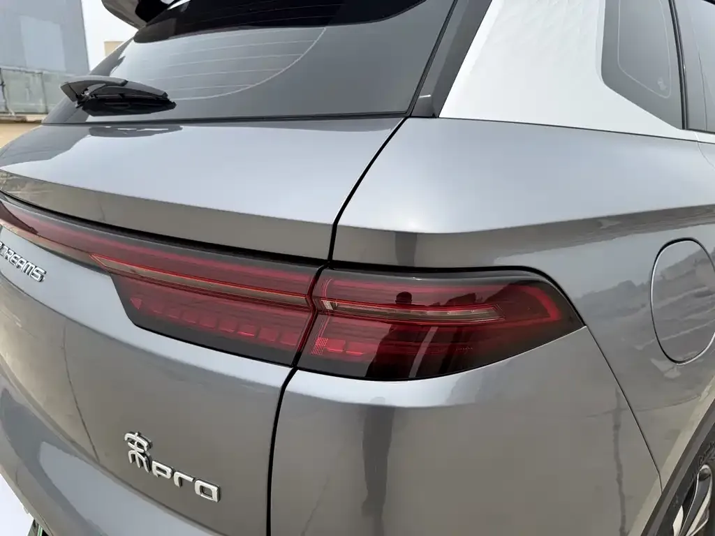 BYD Pro New Energy — фото 10