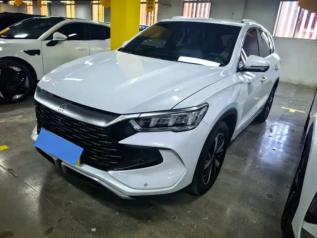BYD Pro New Energy — фото 1