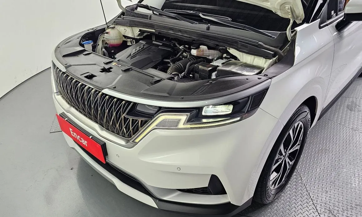 Kia Carnival — фото 10