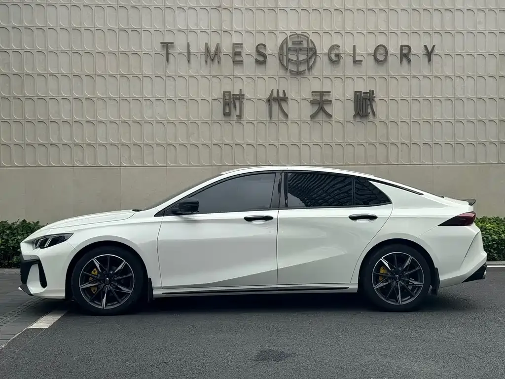 GAC Motor Shadow Leopard — фото 5
