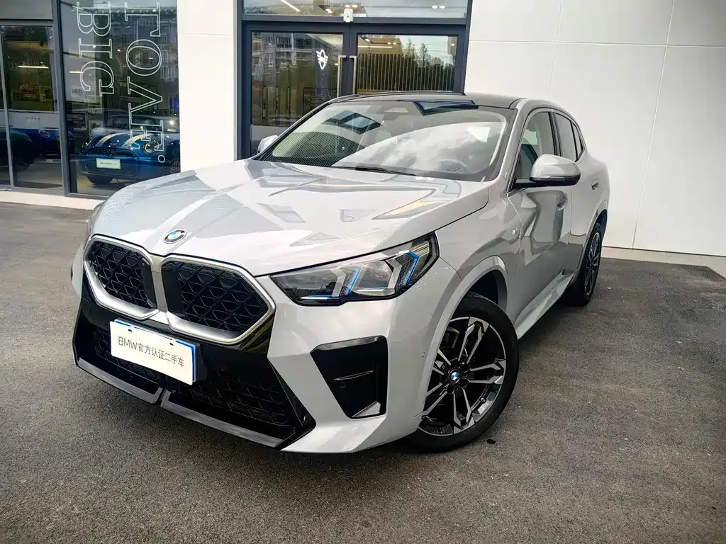 BMW X2 (Import) — фото 1