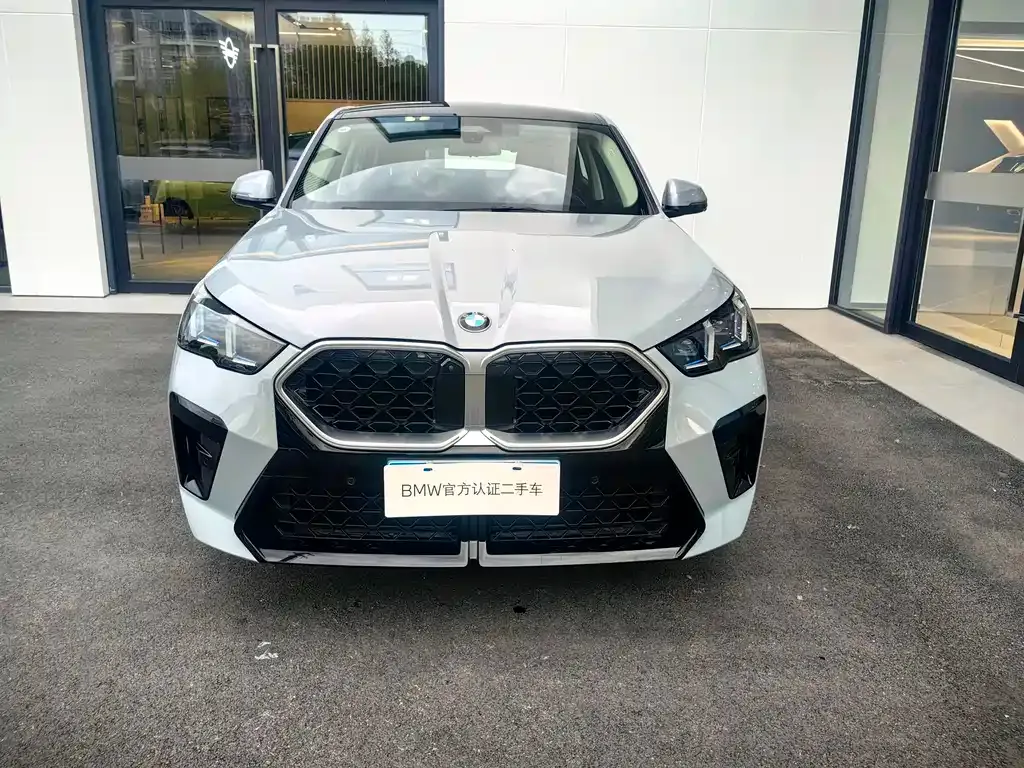 BMW X2 (Import) — фото 10