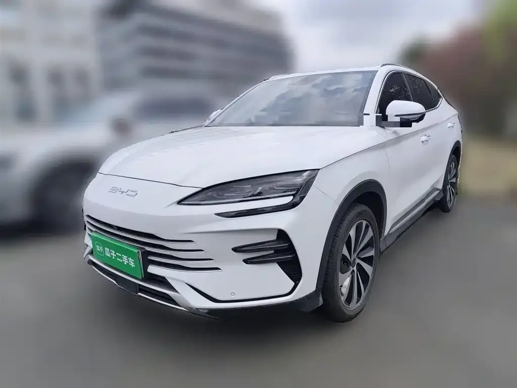 BYD PLUS New Energy — фото 1