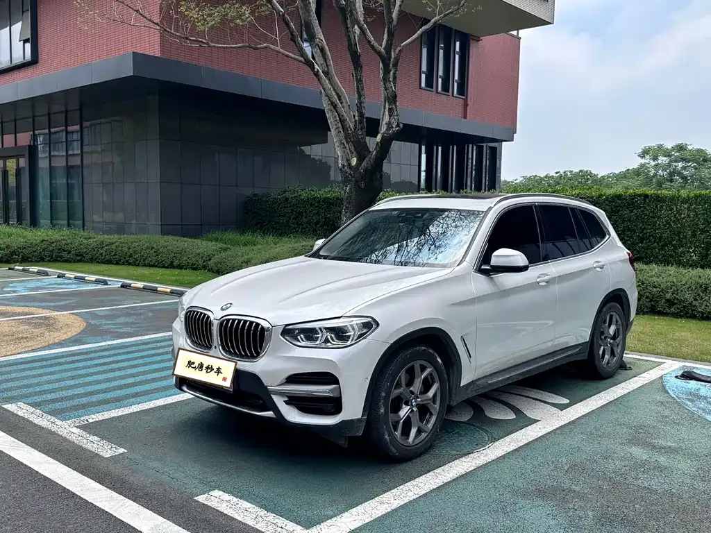 BMW X3 — фото 1