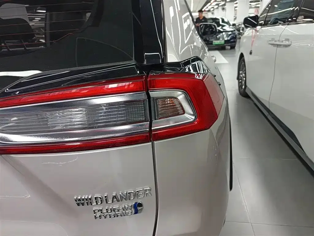 Toyota Wildlander New Energy — фото 10