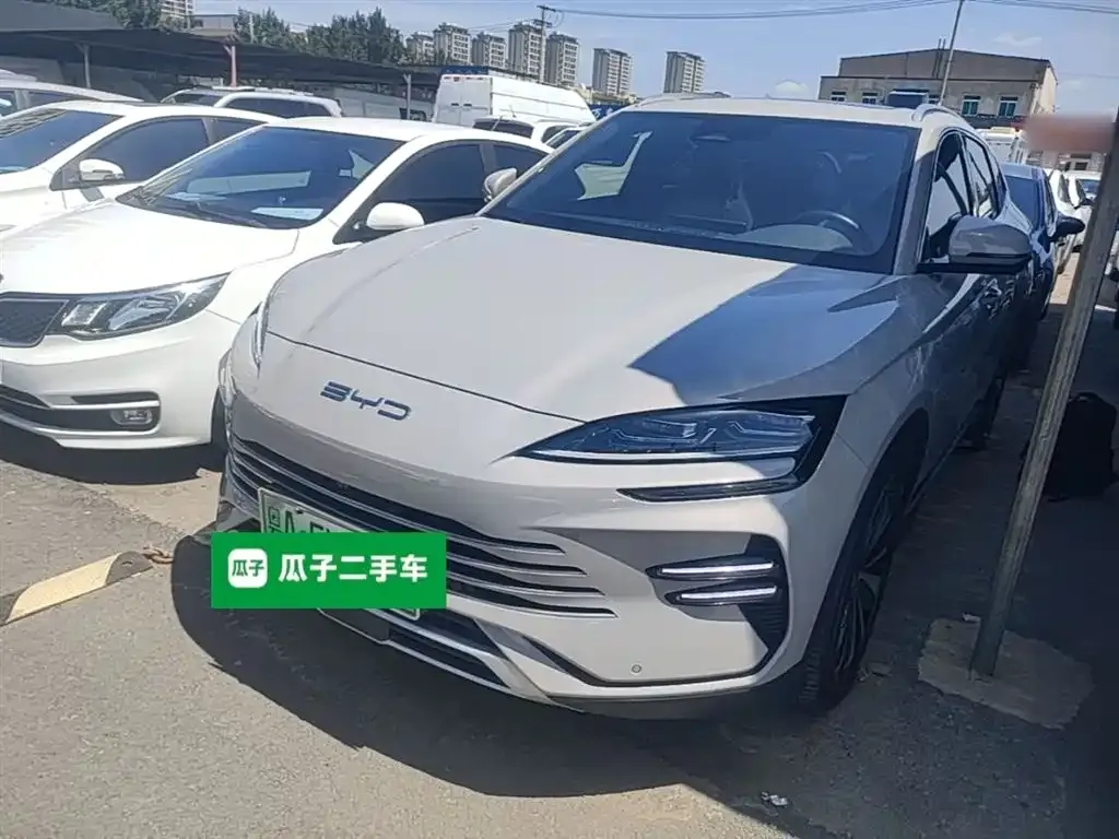 BYD PLUS New Energy — фото 1