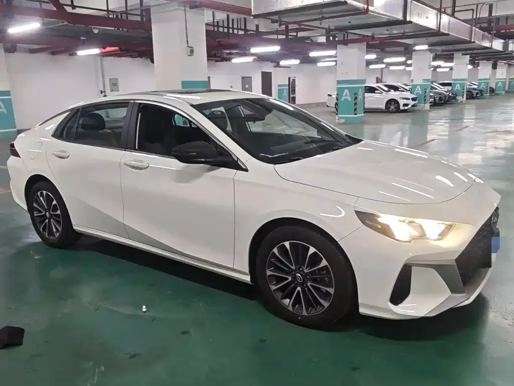 GAC Motor Shadow Leopard — фото 9