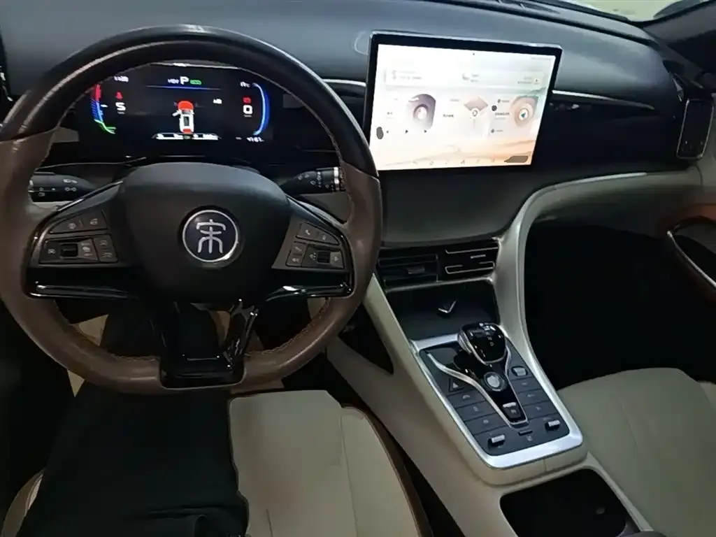 BYD Pro New Energy — фото 9