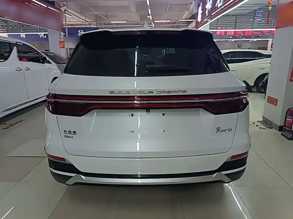 BYD Pro New Energy — фото 5