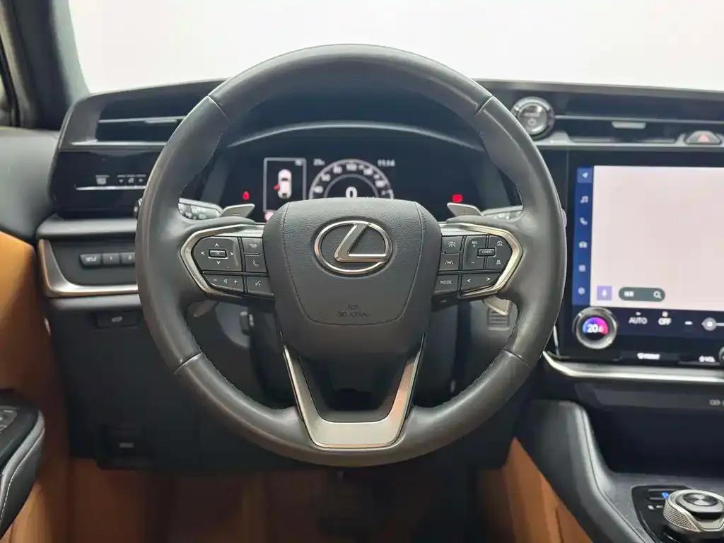 Lexus RZ — фото 4