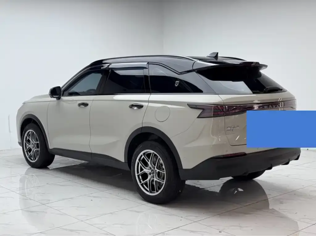 Haval Xiaolong MAX — фото 10