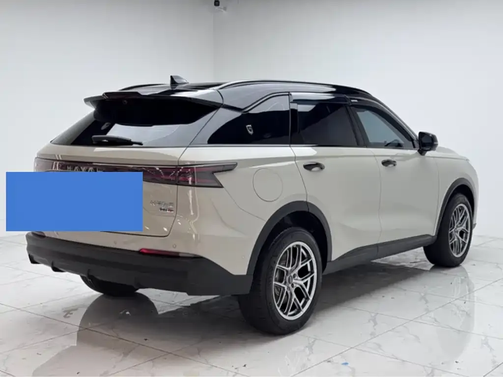 Haval Xiaolong MAX — фото 9