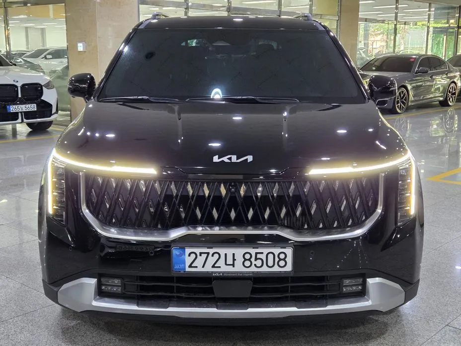 Kia Carnival — фото 10