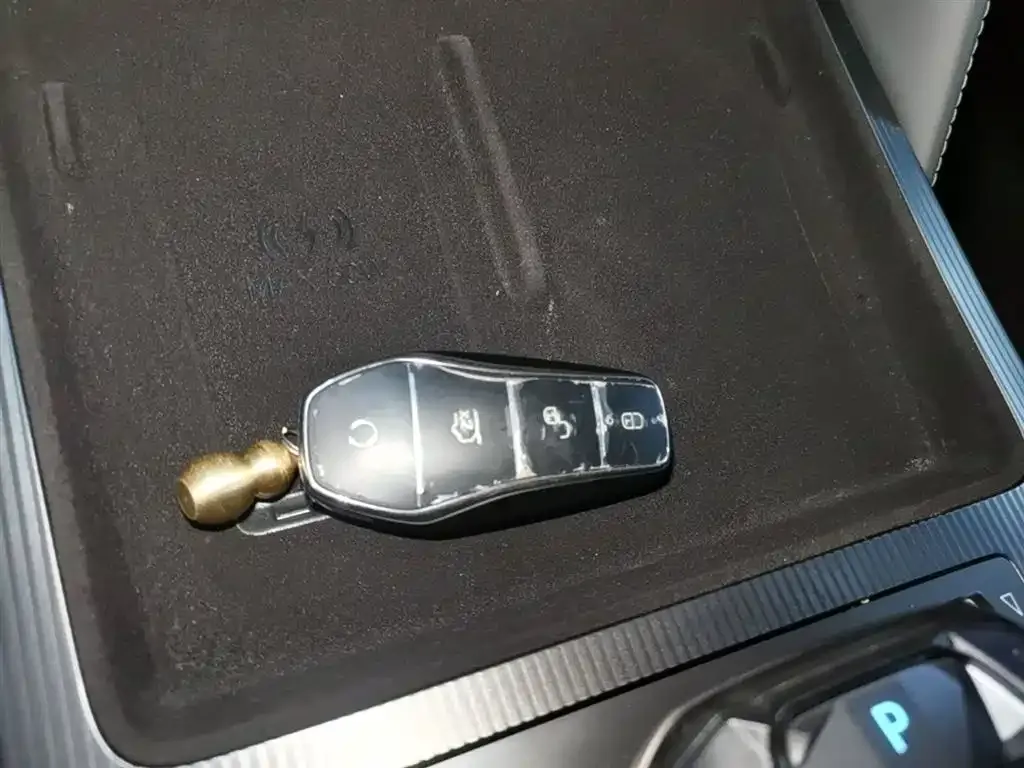 BYD L DM-i — фото 2